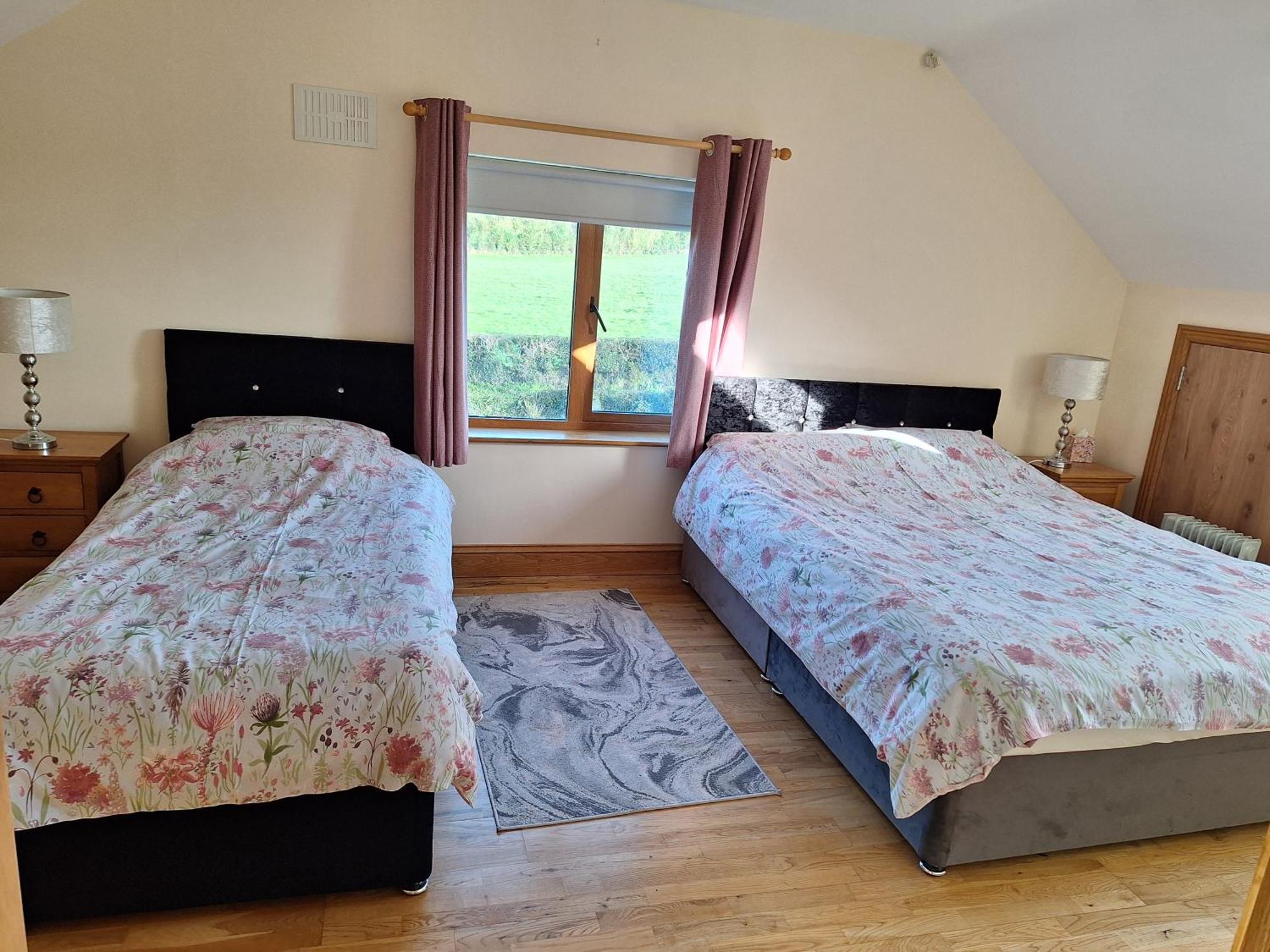 The Attic Appartement Kilkenny Buitenkant foto